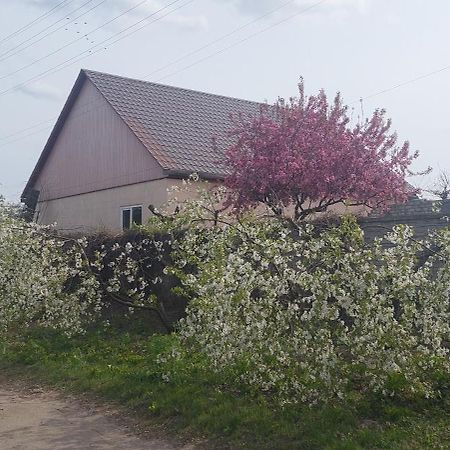 Садиба Зеленого Туризму «Золота Рибка» Medvedevka Exterior foto