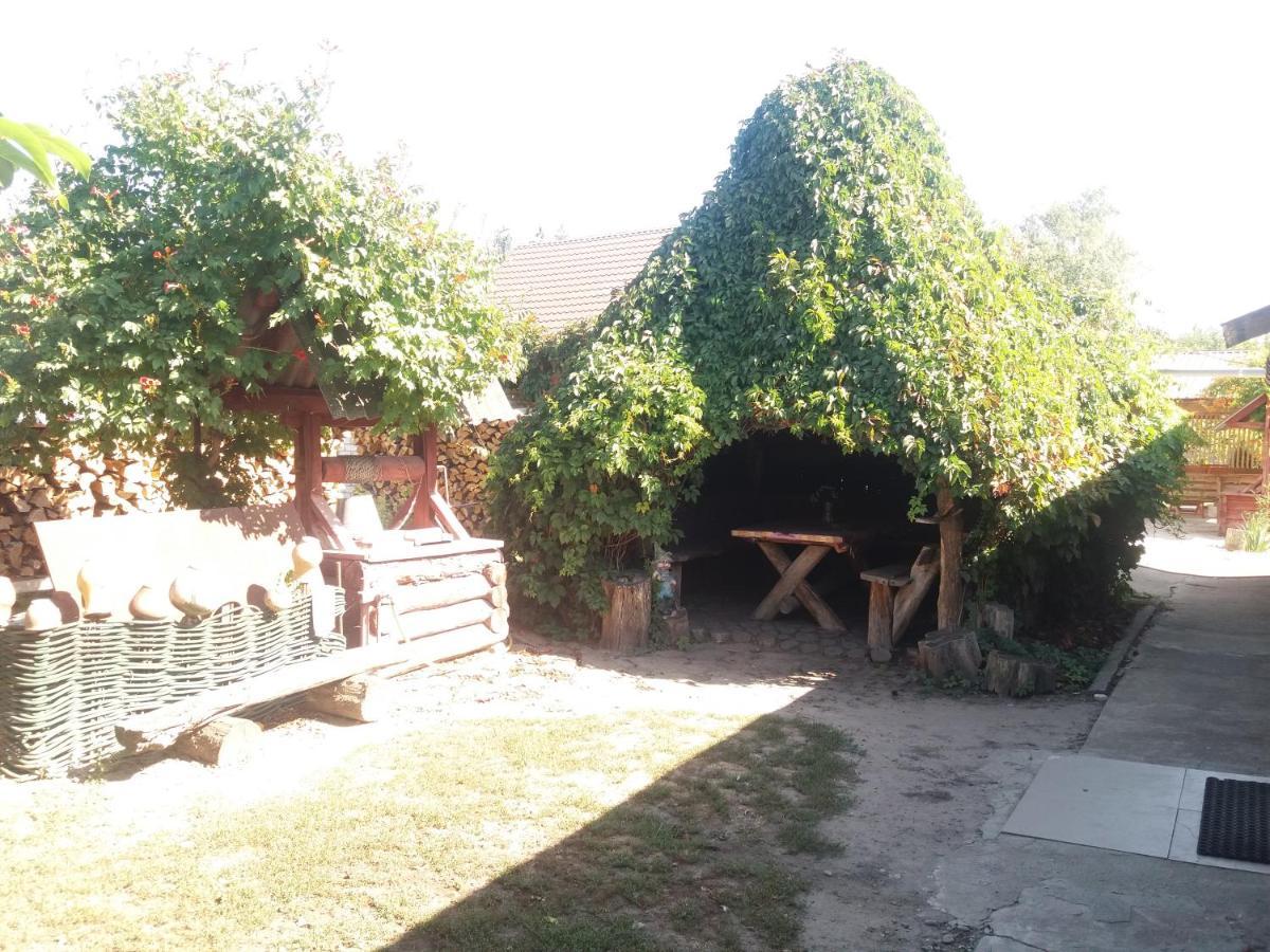 Садиба Зеленого Туризму «Золота Рибка» Medvedevka Exterior foto