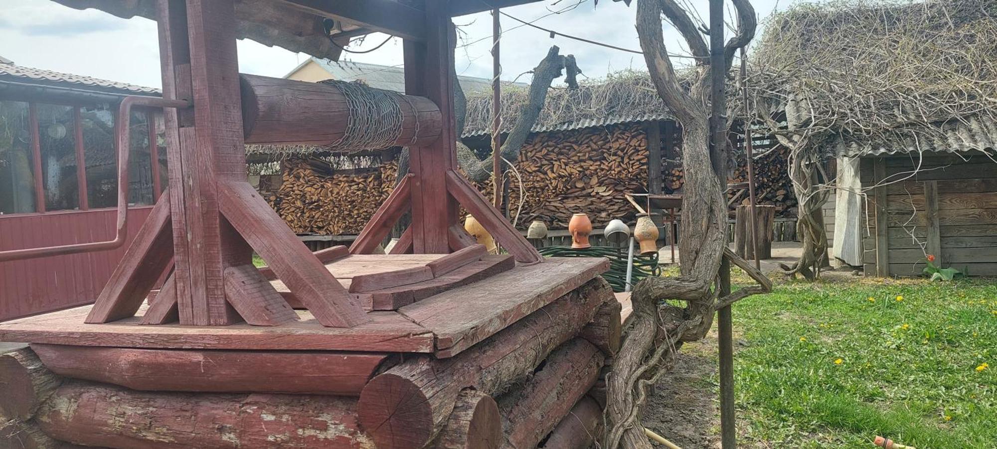 Садиба Зеленого Туризму «Золота Рибка» Medvedevka Exterior foto